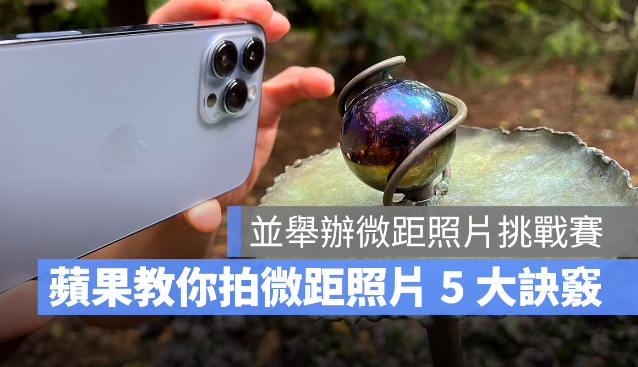 苹果官方教你掌握iPhone 13 Pro 拍摄微距照片的5 大方法