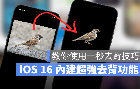 iOS 16 「拷贝主体」去背景功能超强