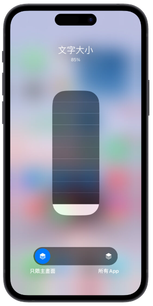 iPhone 字体大小设定隐藏技巧，一键调整特定App、画面的字体大小