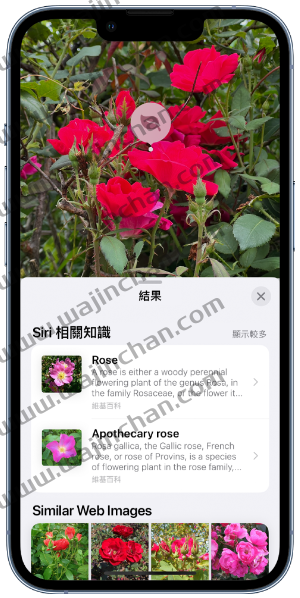 iOS 17 隐藏的19 个特色技巧一次告诉你，学起来让iPhone 更好用